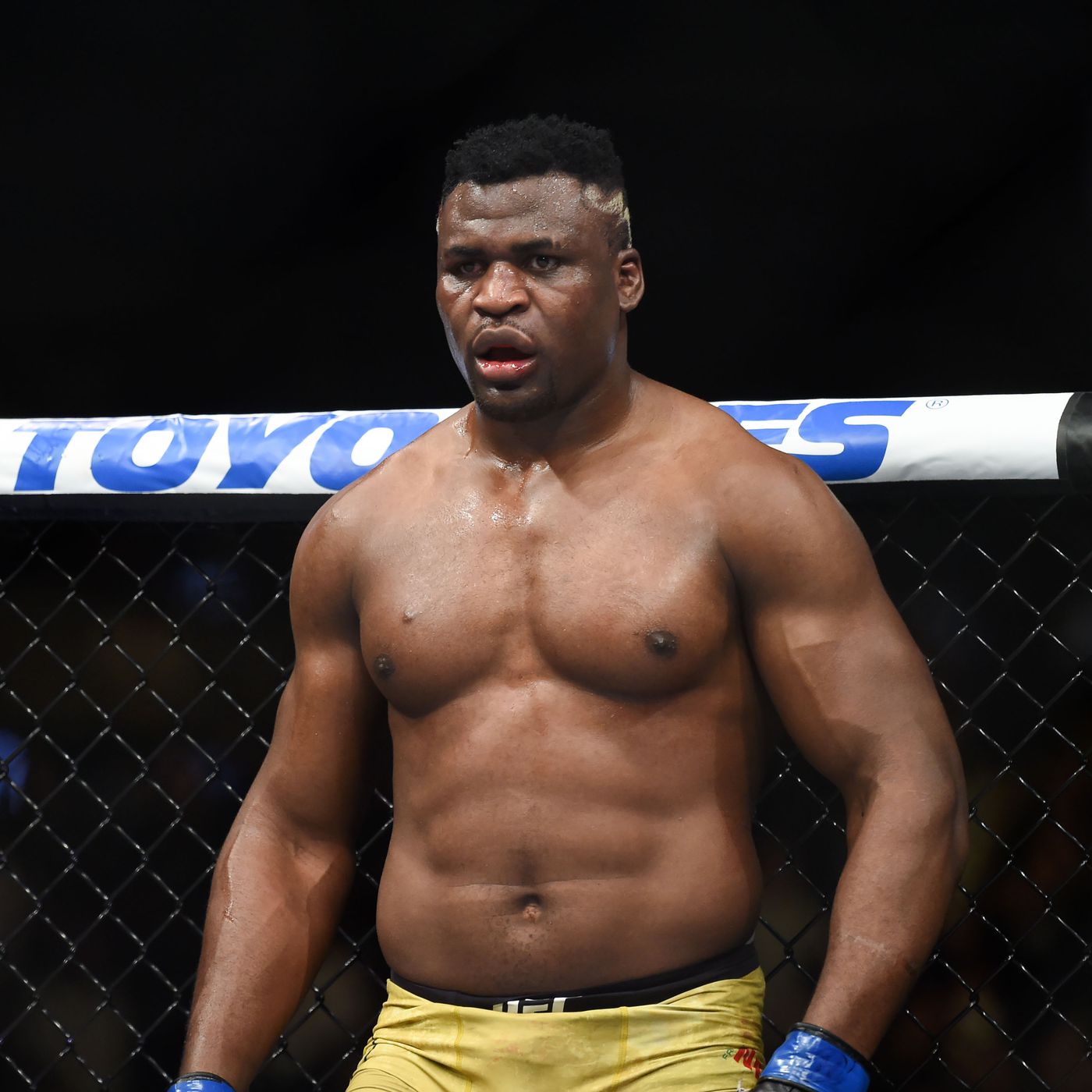 Francis Ngannou S Journey From Homelessness To Ufc Heavyweight Champion Hot Sex Picture 5735