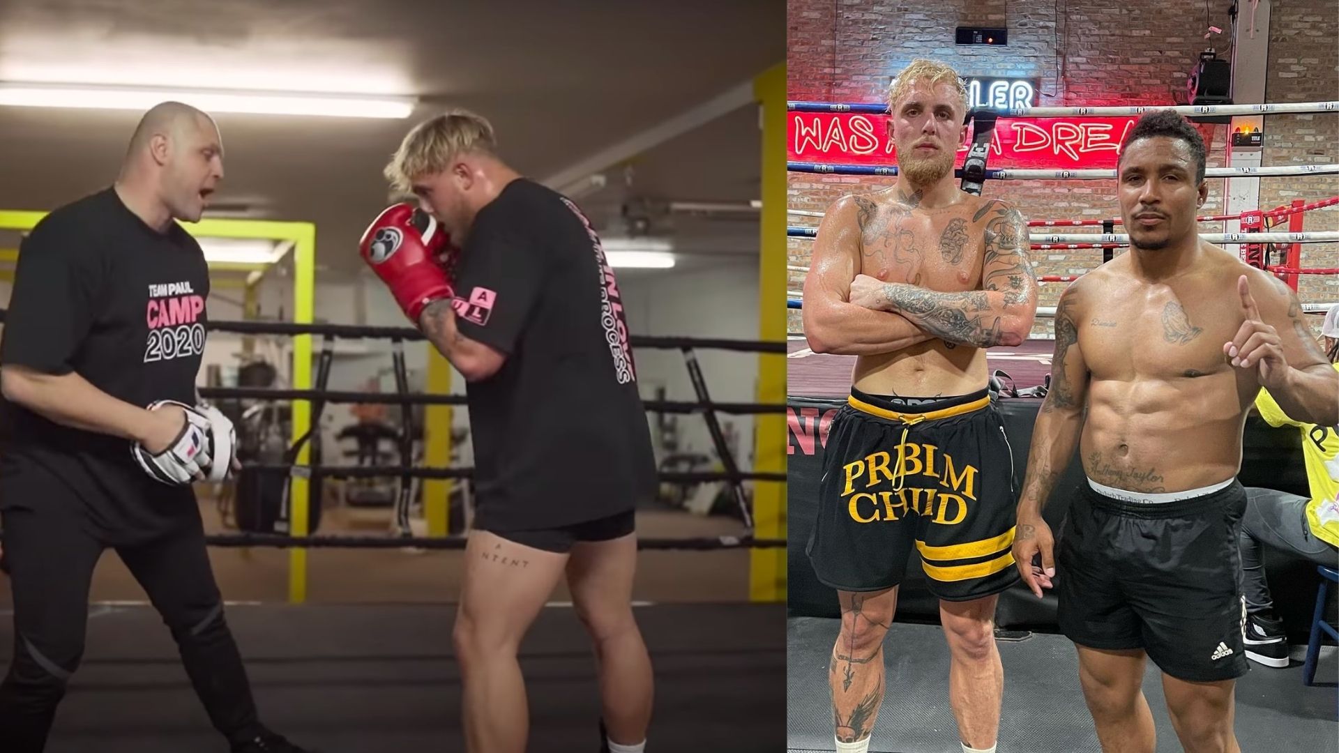 ide Admin råb op Who Are the Boxing Coach and Sparring Partners of Jake Paul?- BJ Flores, J  Leon Love and More - Sportsmanor
