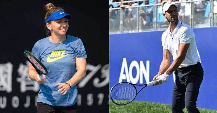 Simona Halep, Novak Djokovic