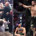 Khabib Nurmagomedov initiated a brawl after his win over Conor McGregor at UFC 229