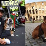 Lewis Hamilton confirms how much Roscoe gets paid